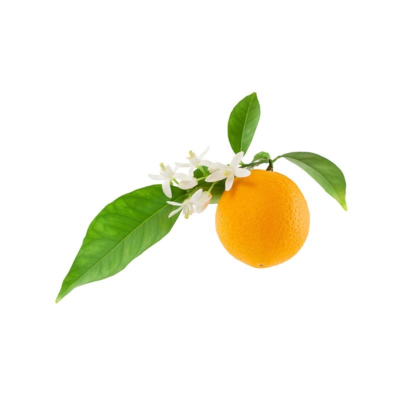 fleur d oranger